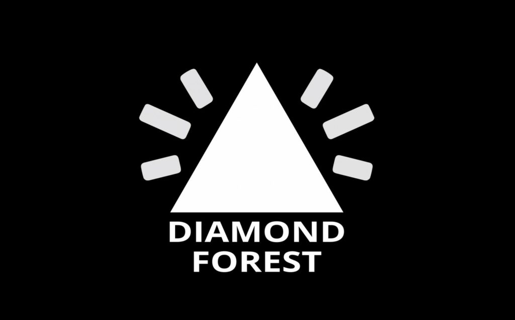 1619 - Diamond Landmark